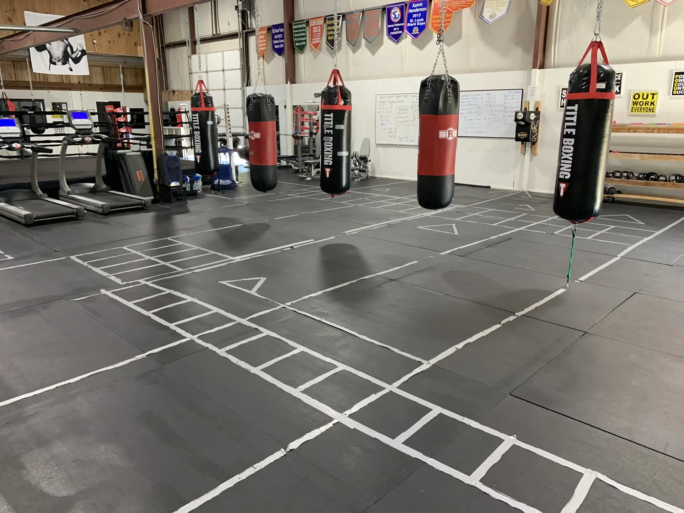 A row of heavy bags hanging in the training area